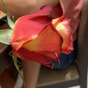 Meet your Posher, Gisela